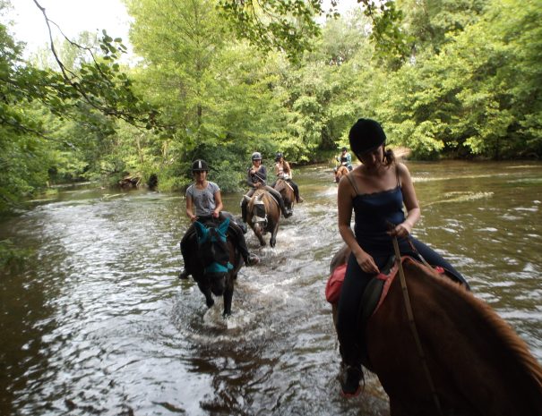 Groupes de cavaliers et leurs montures dans la rivière